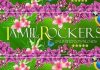 Tamilrockers Tamil Movie Download 2020 – Tamilrockers Hindi Movies Tamilrockers Tamil Movie Download 2020 - Tamilrockers Hindi Movies